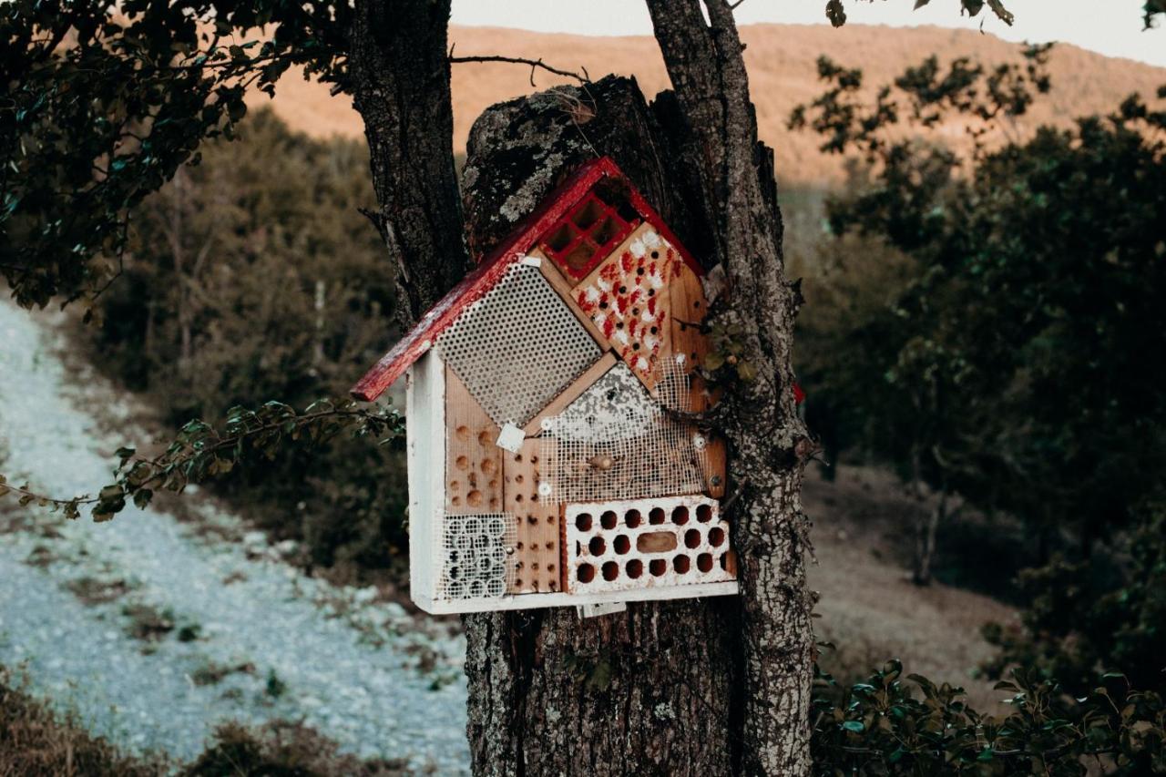 Vila Azienda Agricola Saint Hubert Cantalupo Ligure Exteriér fotografie